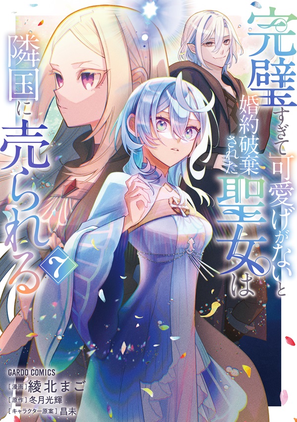 完璧すぎて可愛げがないと婚約破棄された聖女は隣国に売られる 7