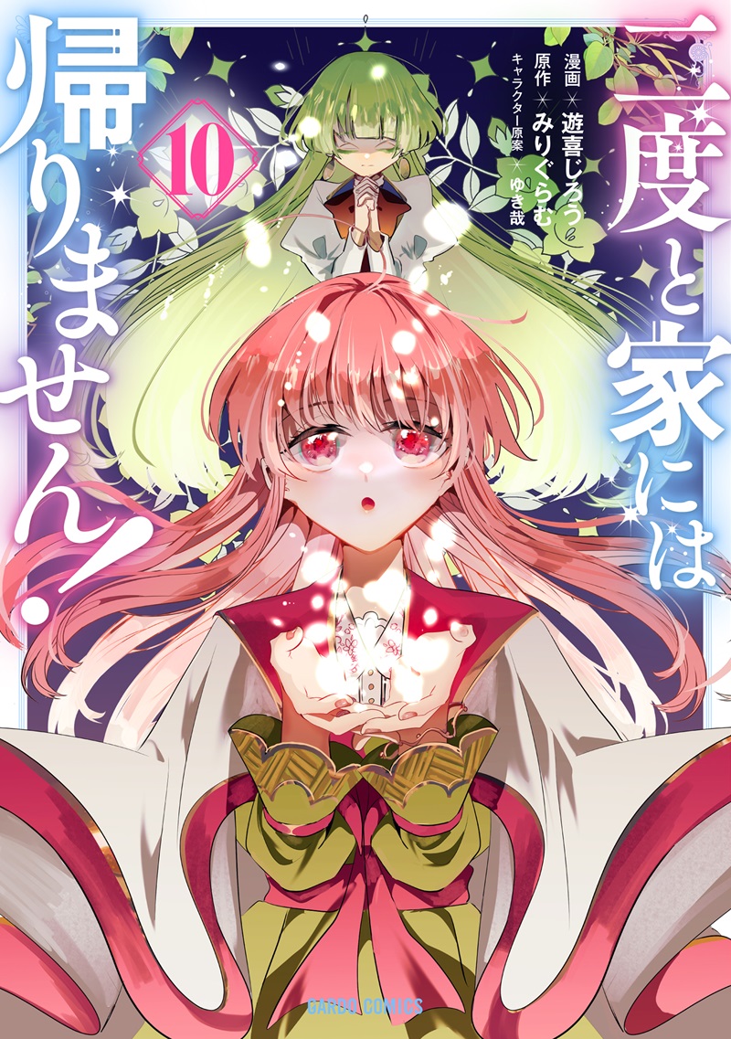 二度と家には帰りません！ 10