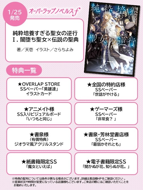 純粋培養すぎる聖女の逆行Ⅰ.闇堕ち聖女×伝説の聖典