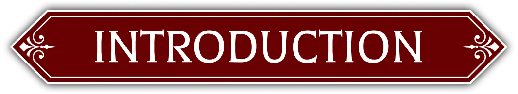 スペシャル｜特別