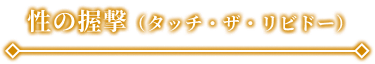 性の握撃（タッチ・ザ・リビドー）