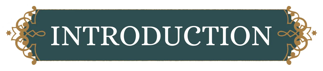 スペシャル｜特別