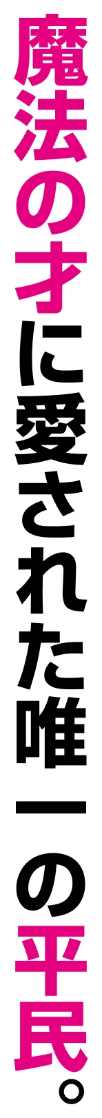 魔法の才に愛された唯一の平民。