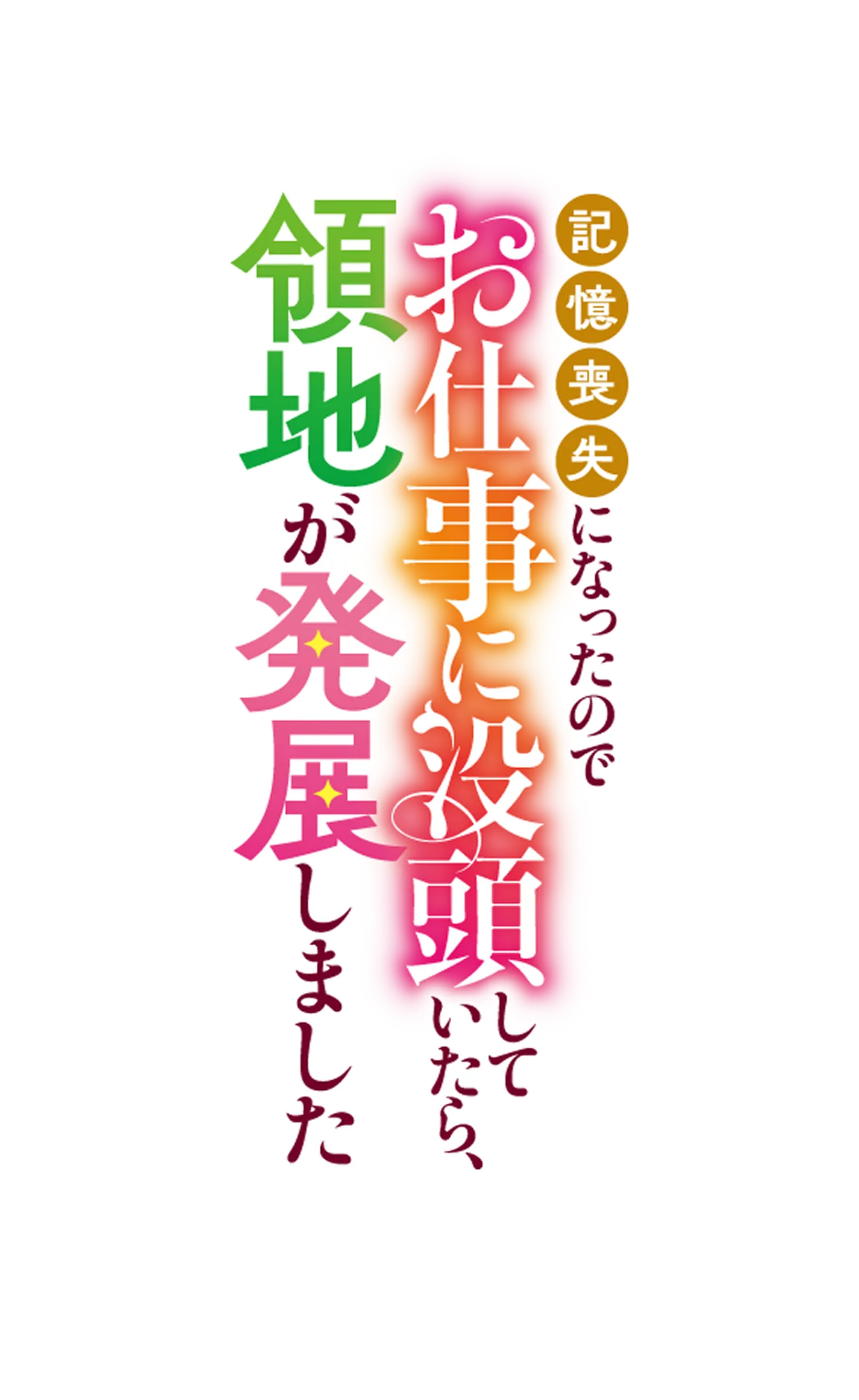 悪女って誰のことですか？　〜記憶喪失になったのでお仕事に没頭していたら、領地が発展しました〜