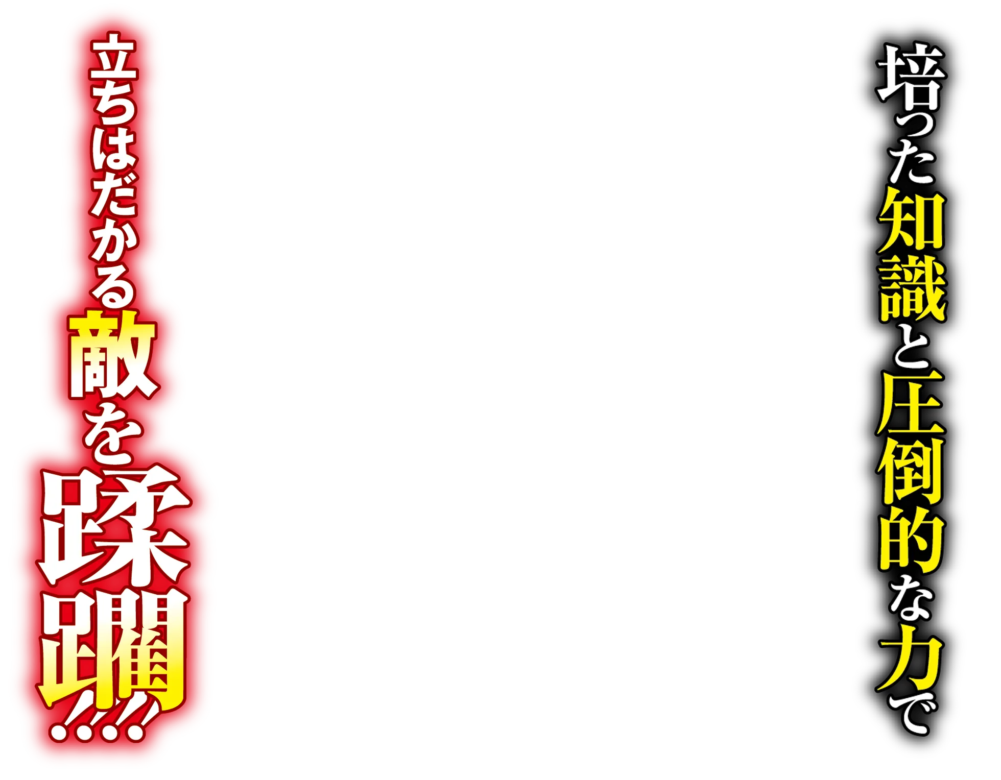 培った知識と圧倒的な力で立ちはだかる敵を蹂躙!!!