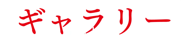ギャラリー